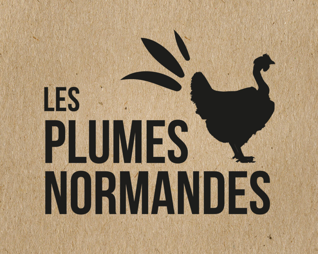 Création du logo pour les Plules Normandes